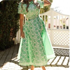 NWT Ivy City Co Remi Dress size 0 💚
